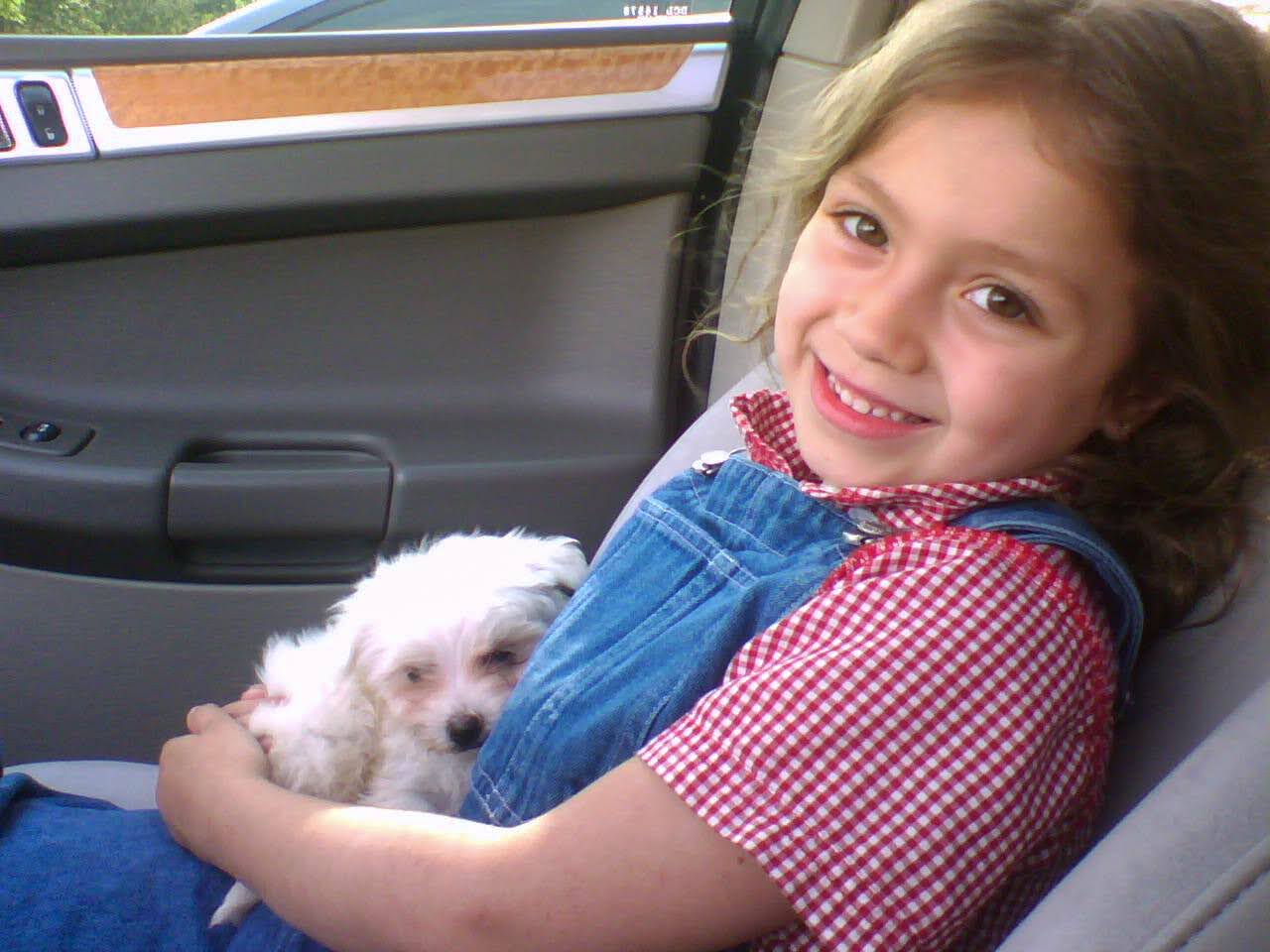 Little girl smiling in overalls holding small fluffy puppy Photo credit: Robert Massey