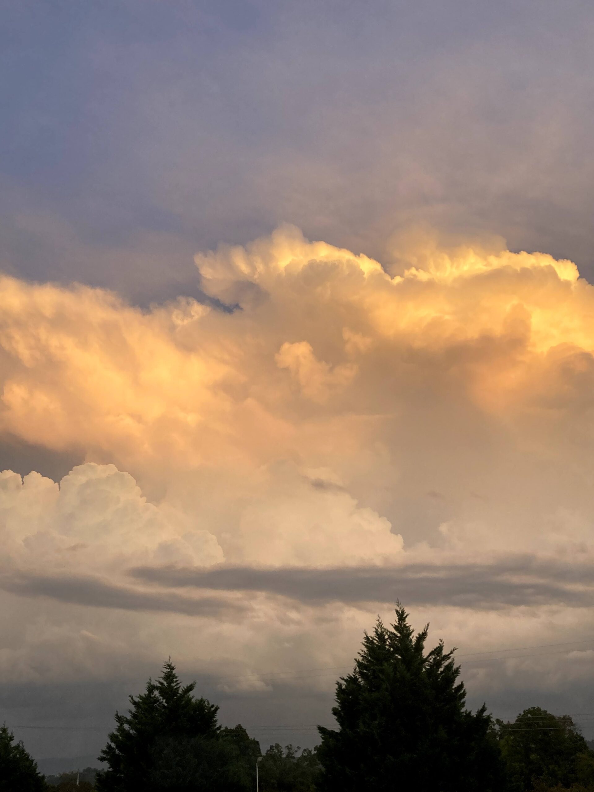 Golden lit clouds above pine trees Photo credit: Kati Kirst