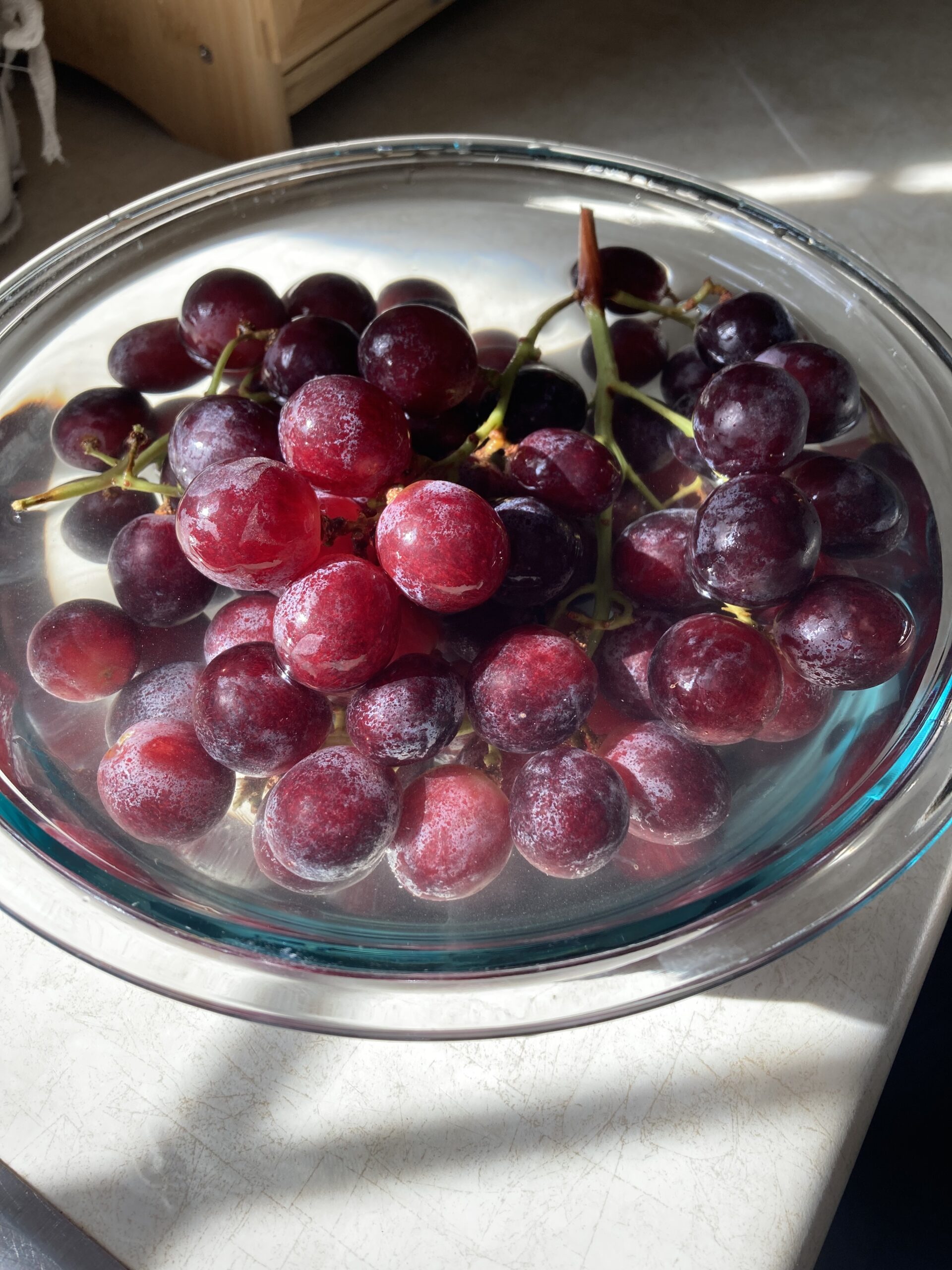 Beautiful deep red grapes being washed in a bowl sitting in the sunshine. Photo Credit: Kati Kirst