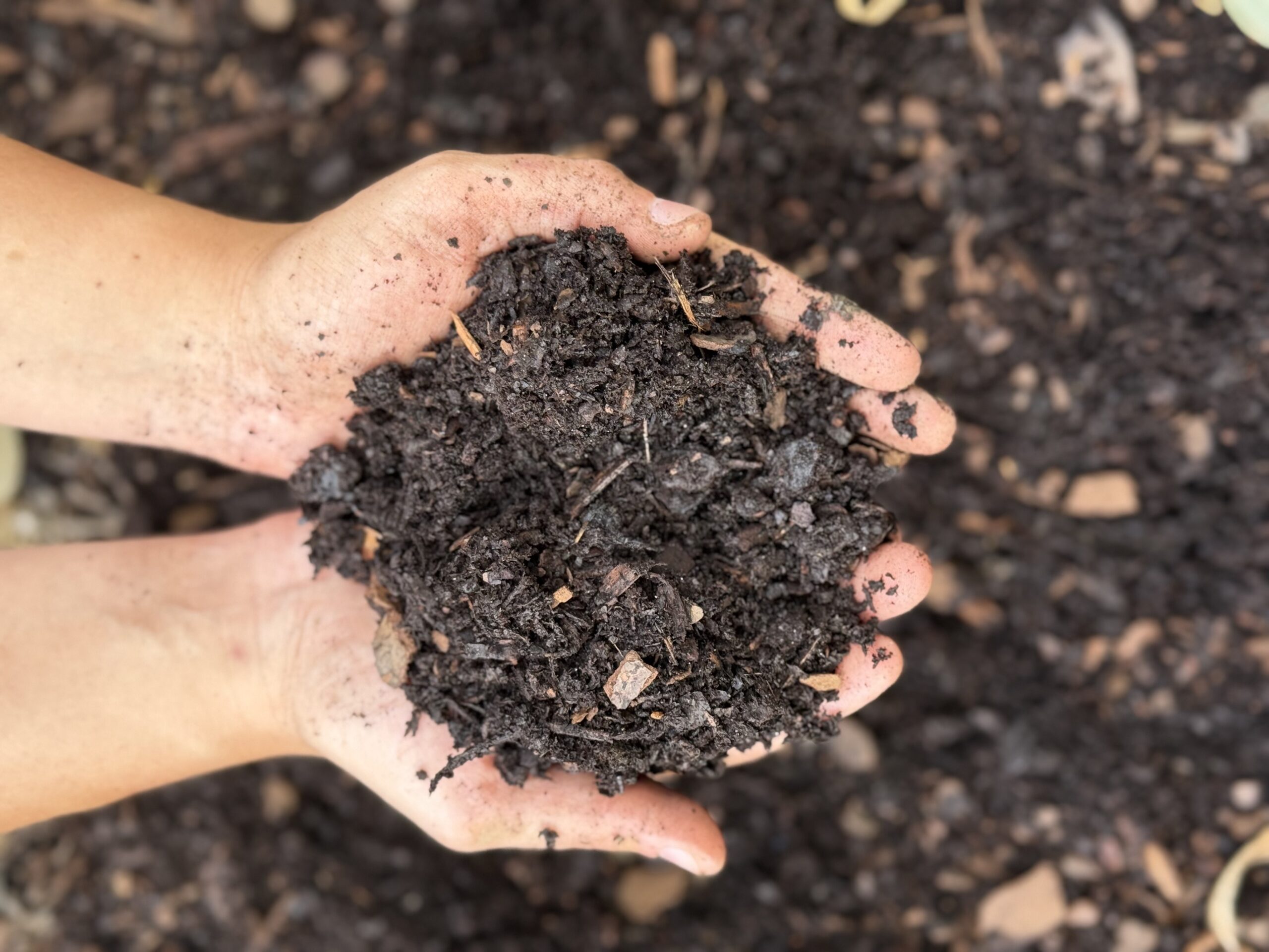 Hands holding rich dirt Photo Credit: Ryan Kirst