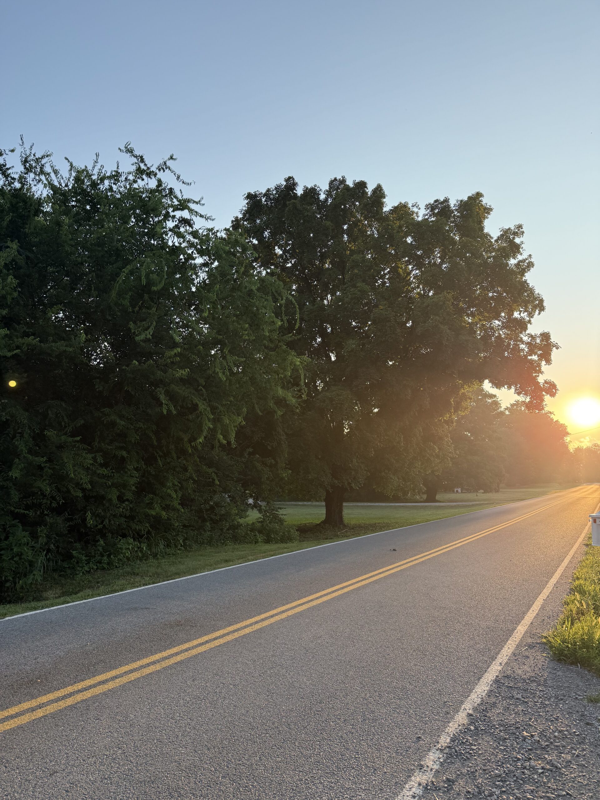 Sunrise light rays across fog on empty road with tree in back ground Photo Credit: Kati Kirst